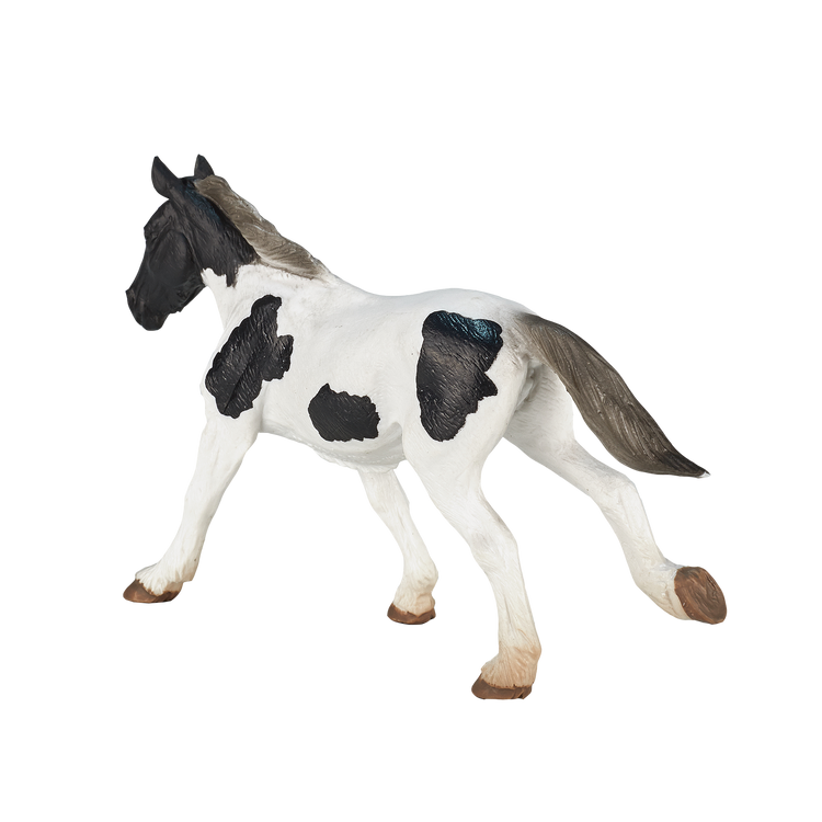 Tinker Yearling