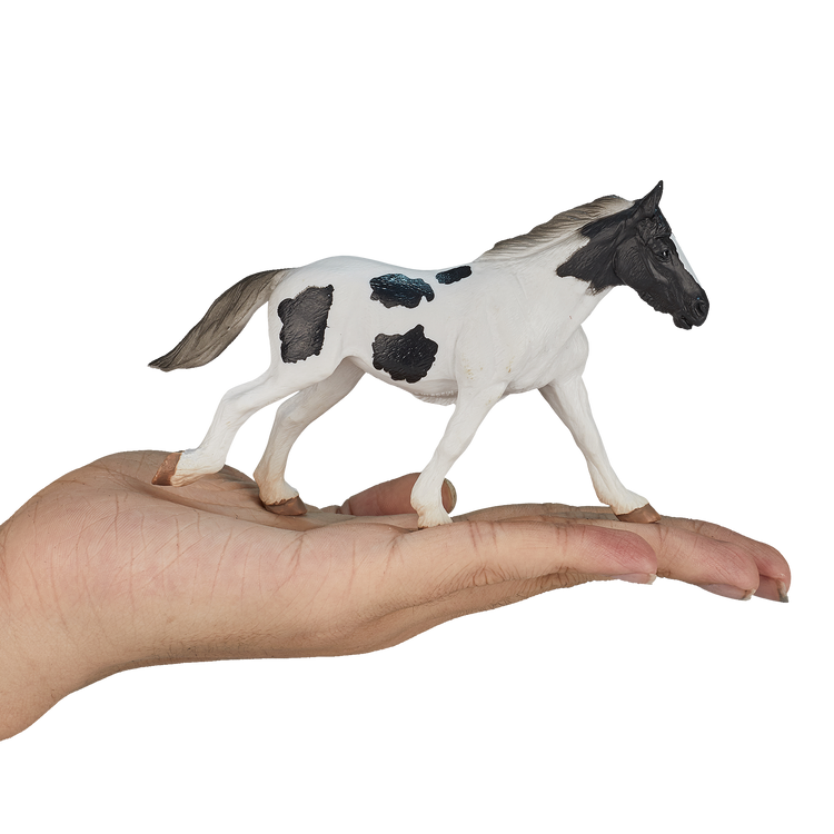 Tinker Yearling