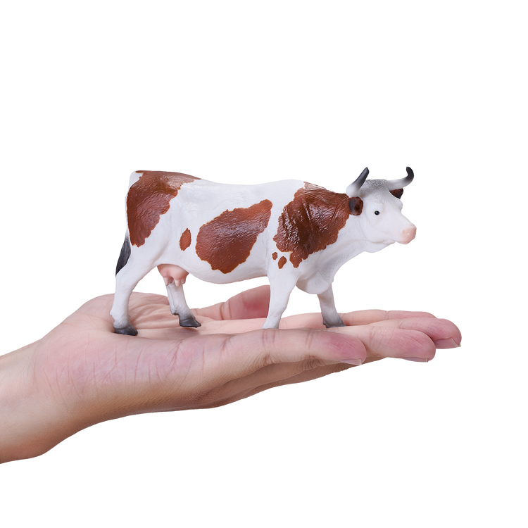 Simmental Cow