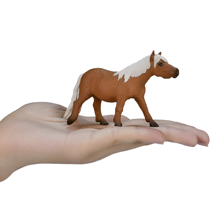 Shetland Pony