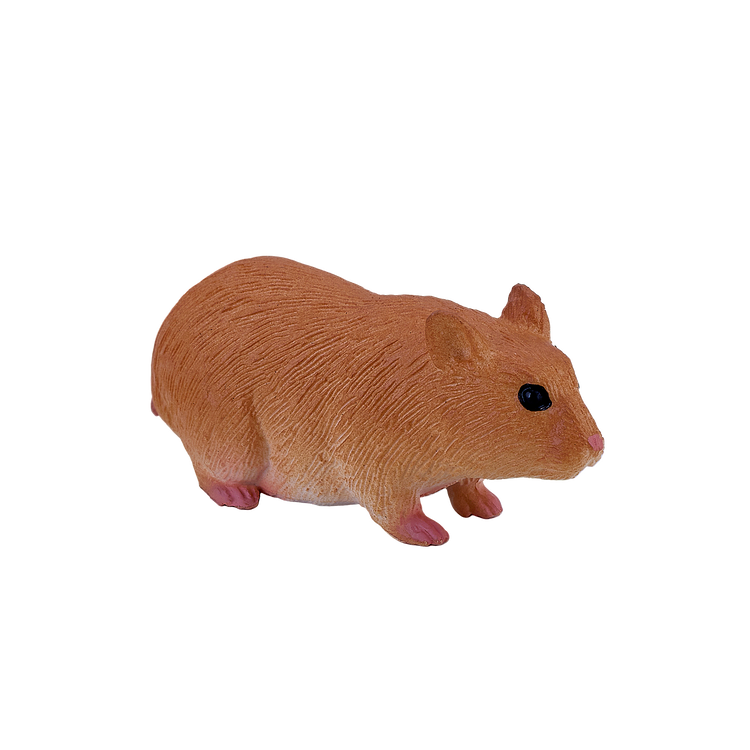 Hamster