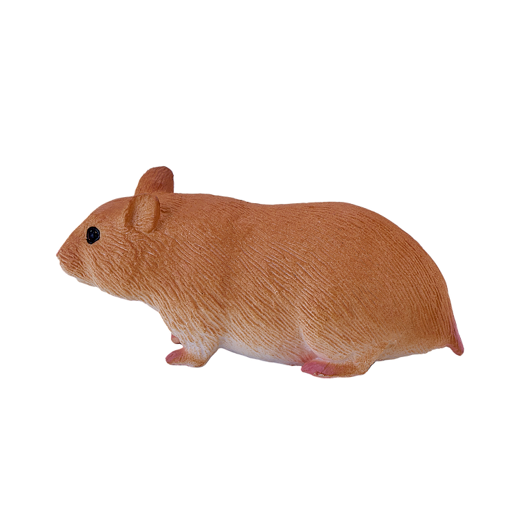 Hamster