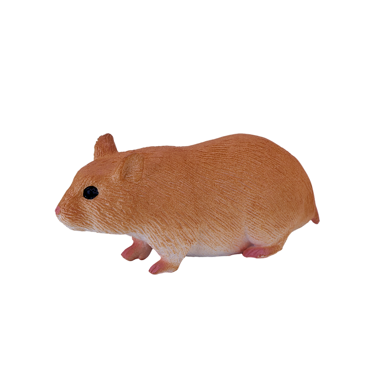Hamster