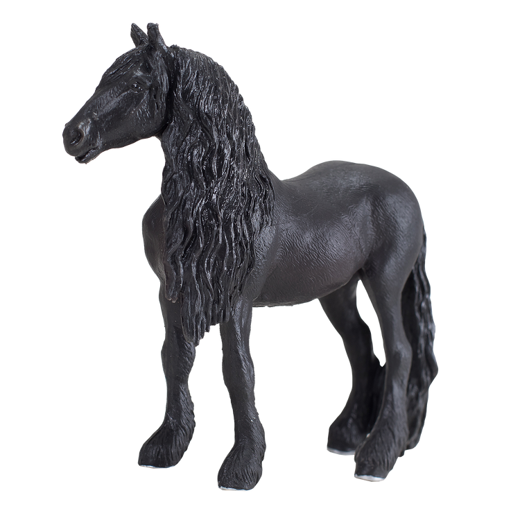 Friesian Gelding