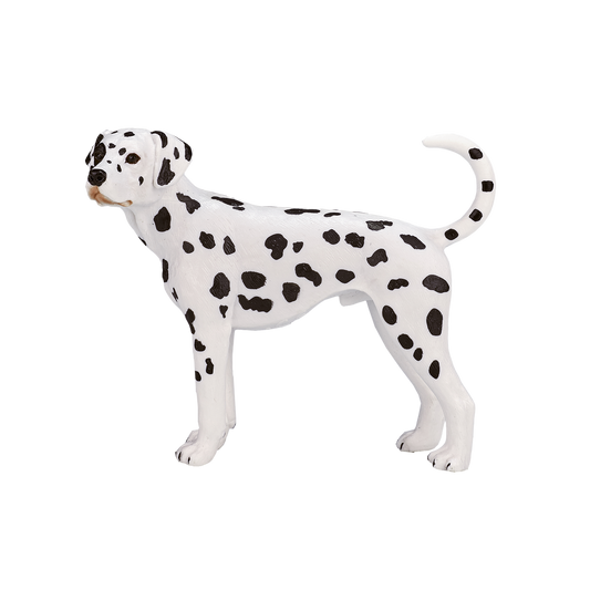 Dalmatian