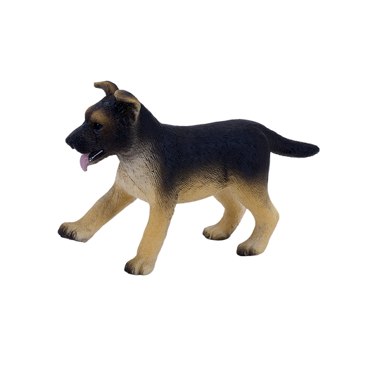 German Shepherd Puppy
