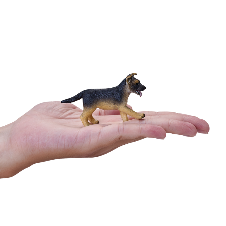 German Shepherd Puppy