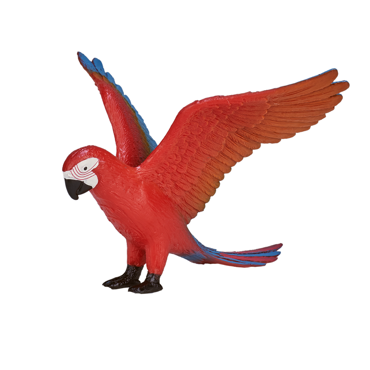 Parrot