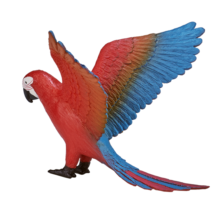 Parrot