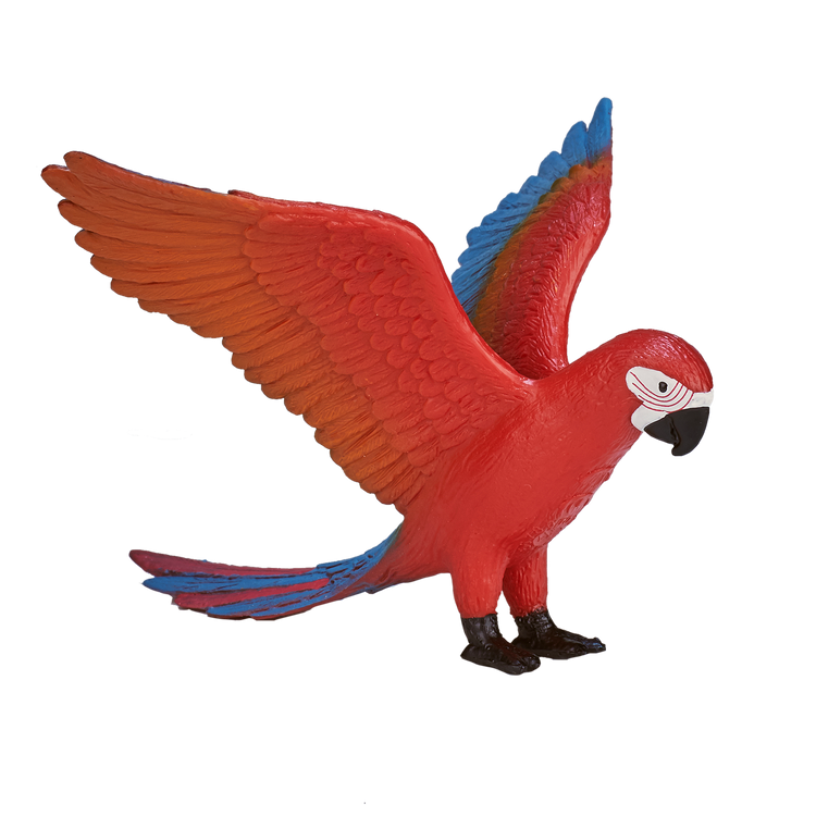 Parrot