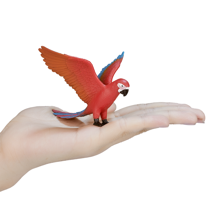 Parrot
