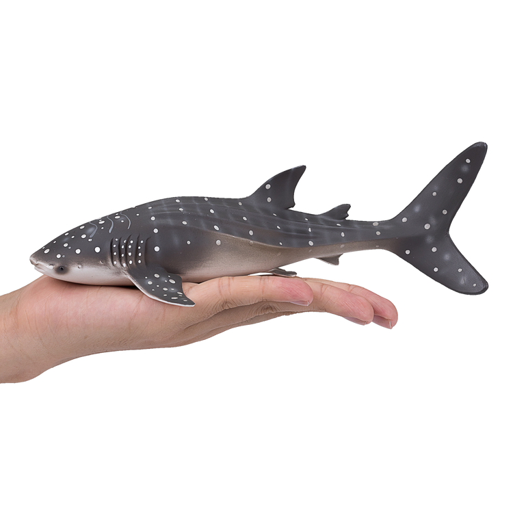 Whale Shark