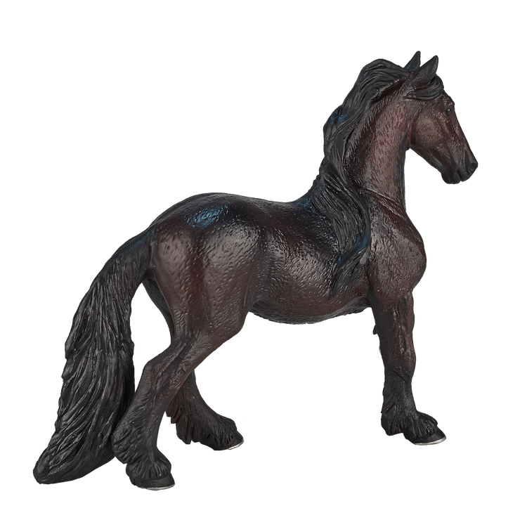Friesian Mare