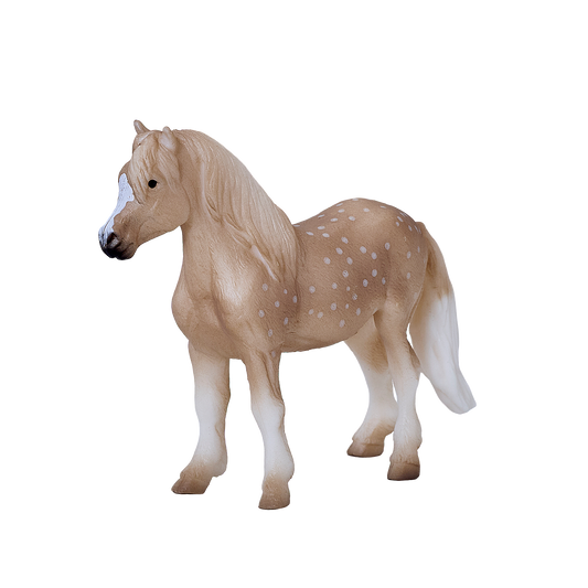 Welsh Pony