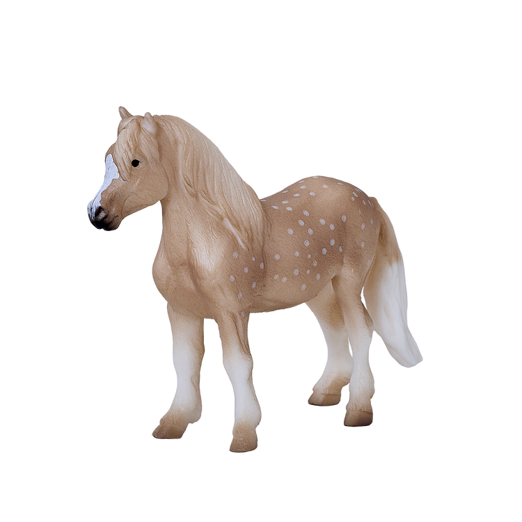 Welsh Pony