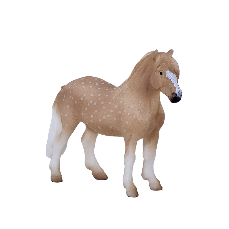 Welsh Pony