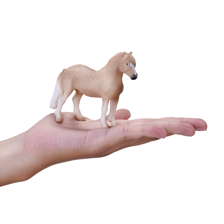 Welsh Pony