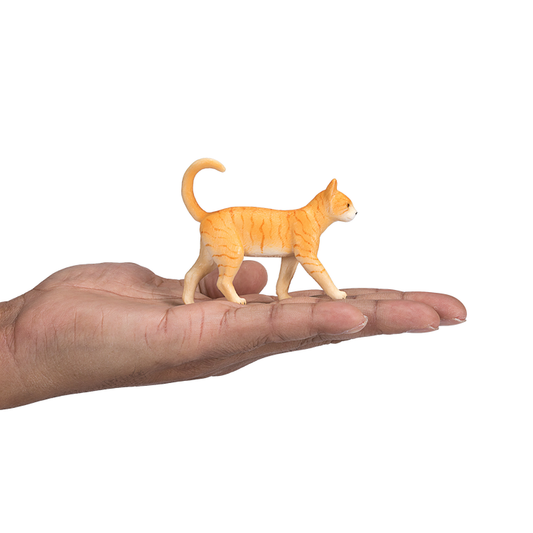 Ginger Tabby Cat