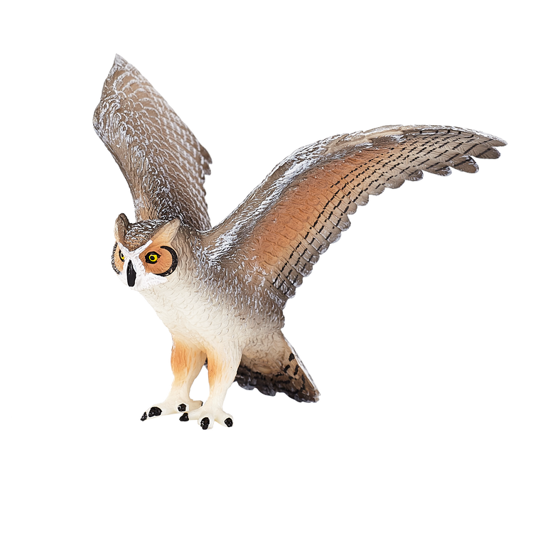 Great Horned Owl