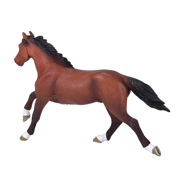 Thoroughbred