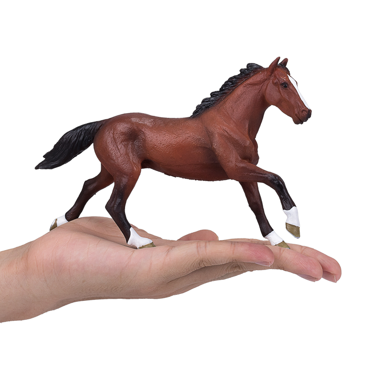 Thoroughbred