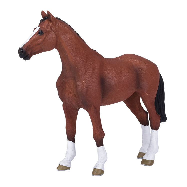 Dutch Warmblood