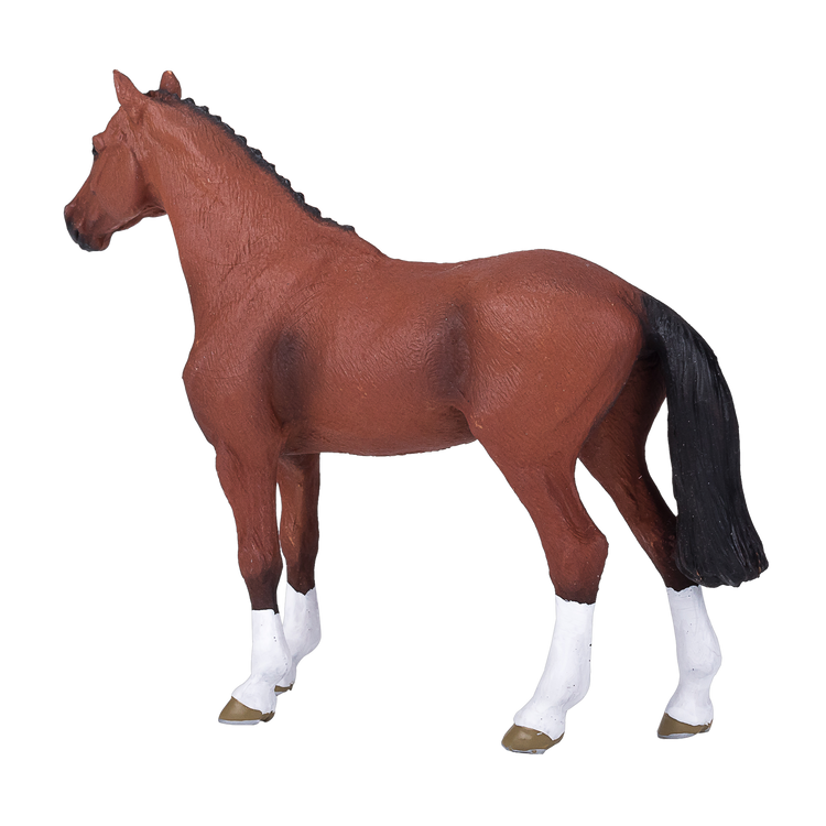 Dutch Warmblood