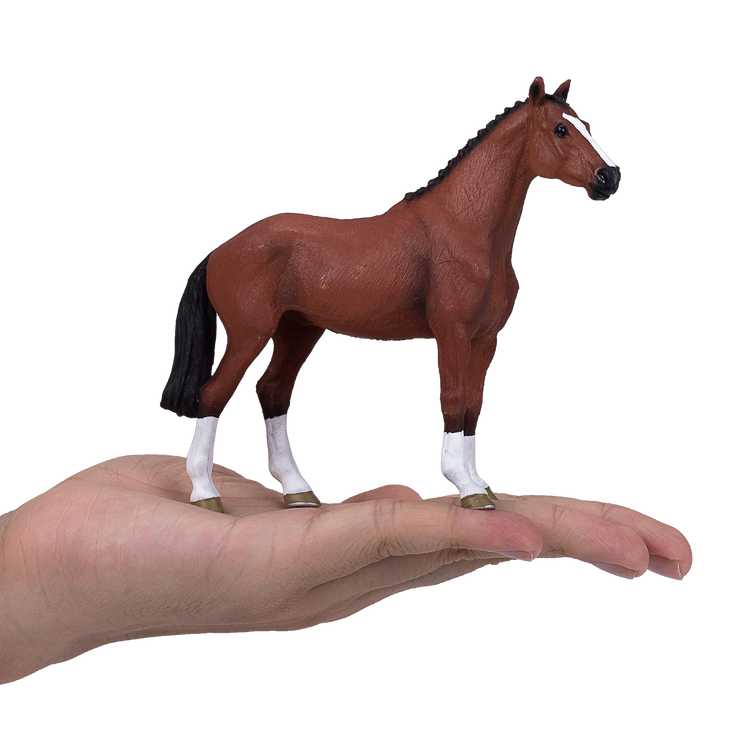 Dutch Warmblood