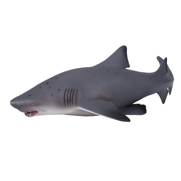 Bull Shark Deluxe