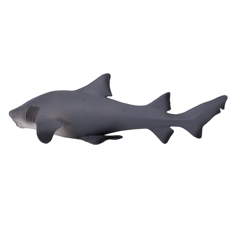 Bull Shark Deluxe