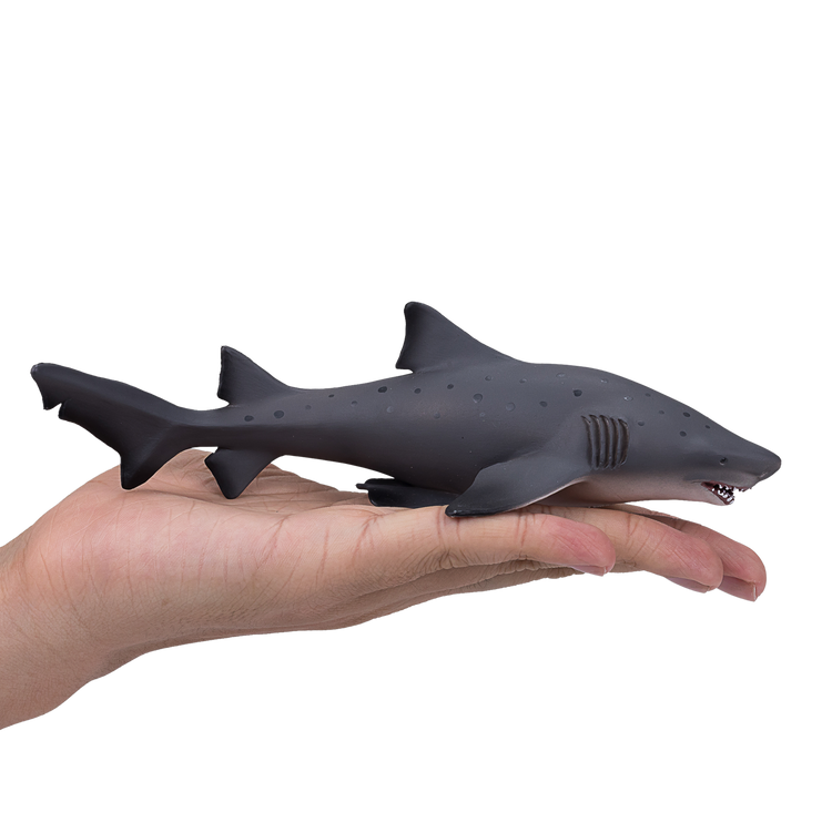 Bull Shark Deluxe