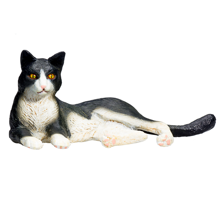 Cat Lying Black and White