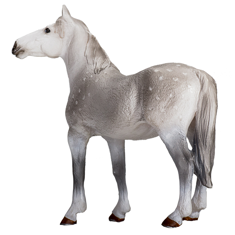 Orlov Trotter