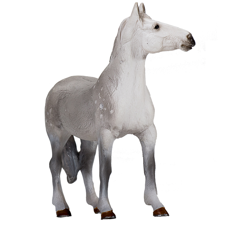 Orlov Trotter