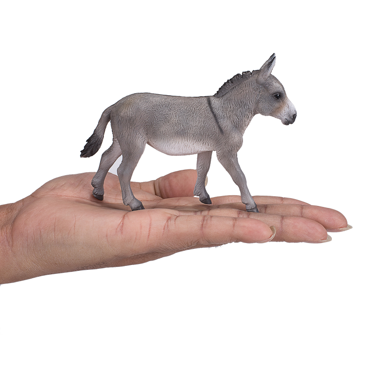 Donkey