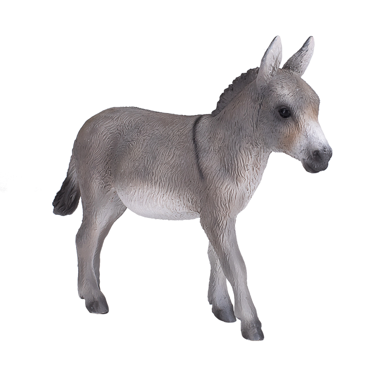Donkey