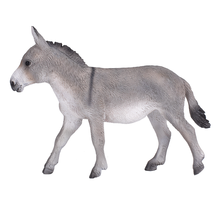 Donkey