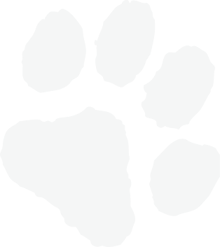 paw-print