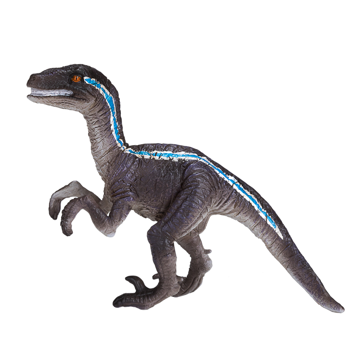 Velociraptor Standing