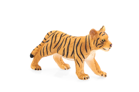 Tiger Cub standing