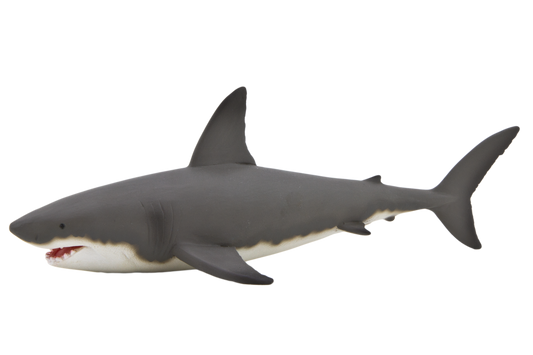 Great White Shark
