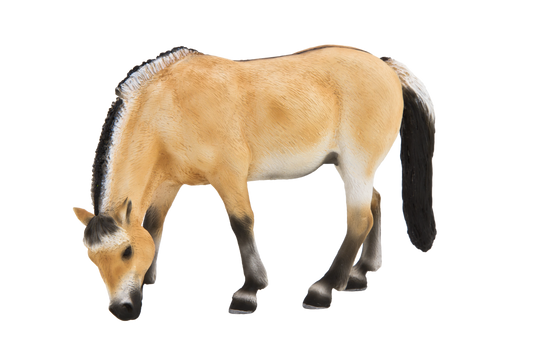 Fjord Mare