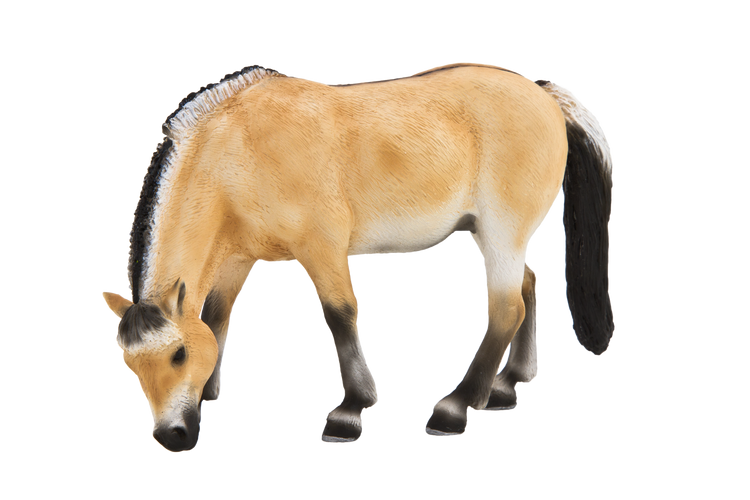 Fjord Mare