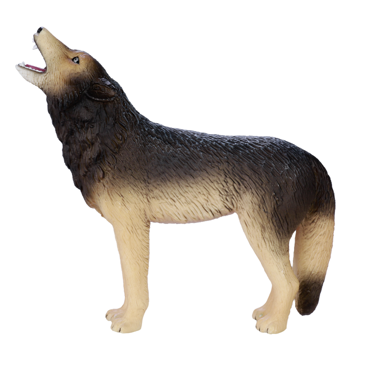 Timber Wolf Howling