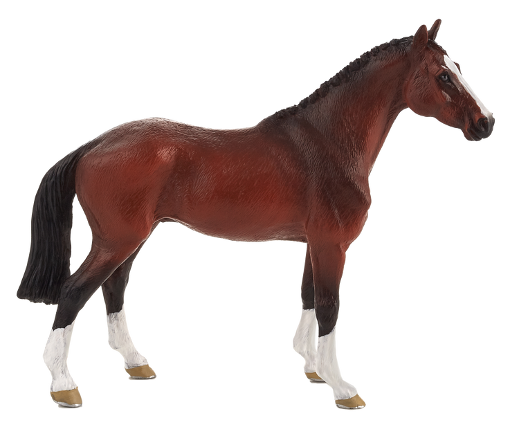 Dutch Warmblood