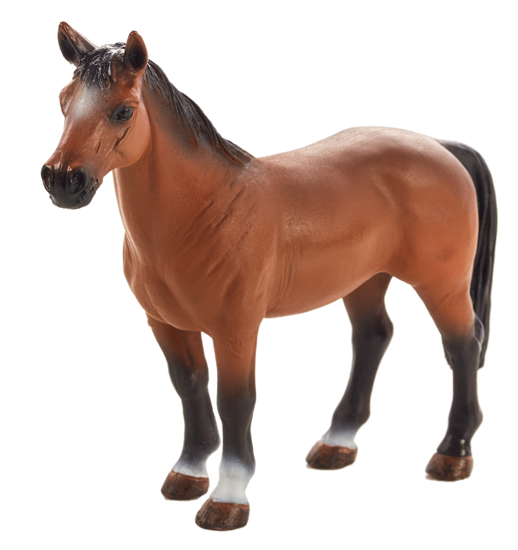Trakehner