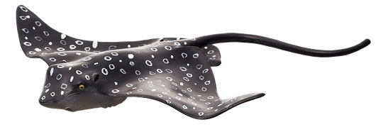 Spotted Eagle Ray