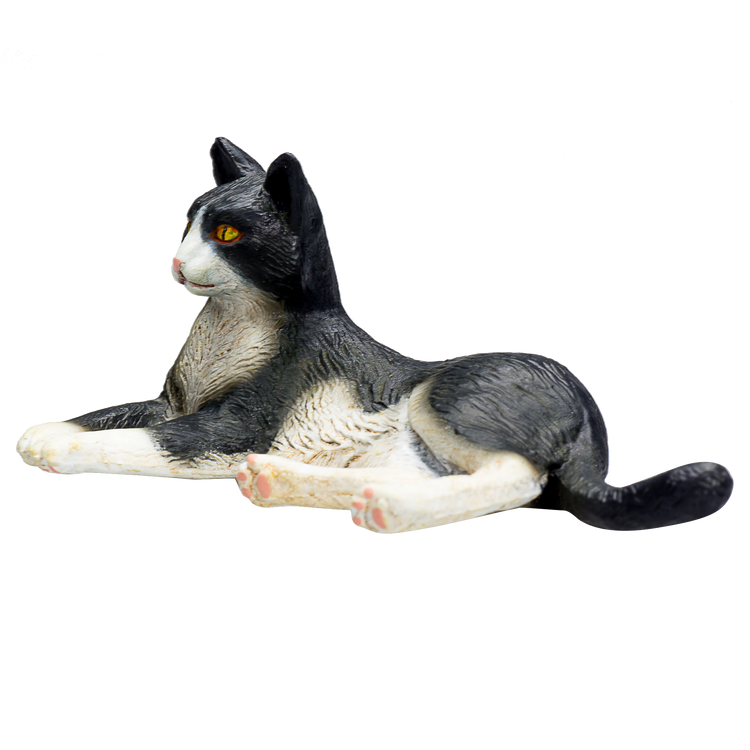 Cat Lying Black and White