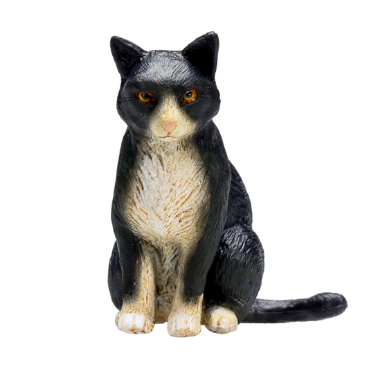 Cat Sitting Black and White