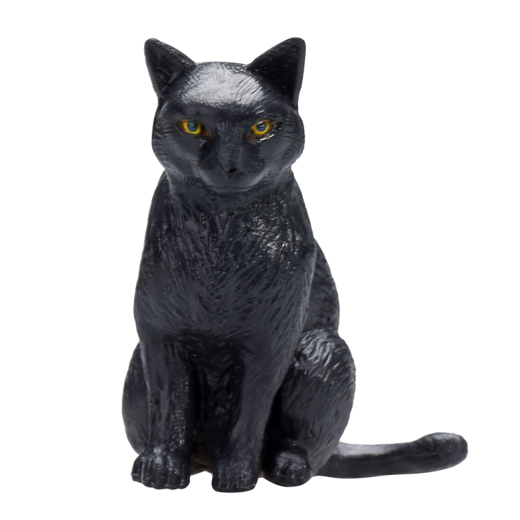 Cat Sitting Black
